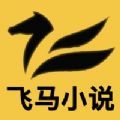 飞马小说免费版下载_飞马小说免费版