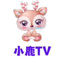 小鹿是什么电视_小鹿TV电视版